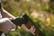 Manâ€™s hands holding a loaded hunting rifle close up