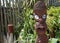 Maori Carving. New Zealand