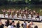 Maori dancers in traditional costume, Hamilton, New Zealand