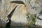 Maori Rock Carving at lake Taupo New Zealand