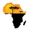 Map of Africa. Safari sunset. Savanna acacia tree.