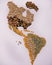 Map of America made with seeds - food sovereignty in the time of covid 19