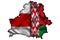 On the map of Belarus, the official government and national opposition Belarusian flags are combined. The concept of public