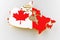 Map of Canada land border with flag. Canada map on white background. 3d rendering