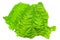 Map of Romania in green leaf texture on a white isolated background. Ecology, climate concept. 3d illustration