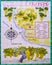 The map of Tio Pepe vineyards, Jerez, Spain