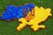 Map of Ukraine (contours), coat of arms Ukraine (trident) in blu