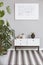 Map in white frame above shelf in elegant black and white interior with big green plant