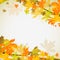 Maple autumn background, vector