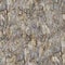 Maple Bark. Seamless Texture.