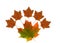 Maple candy and maple leaf