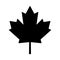 Maple leaf canada vector symbol icon design