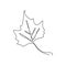 Maple leaf continuous one line drawing minimalism design