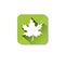 Maple Leaf Eco Organic Environment Clean Care Icon