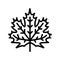 maple leaf line icon vector illustration