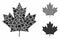 Maple leaf Mosaic Icon of Rugged Elements