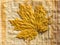 Maple Leaf on a piece of papyrus