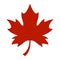 Maple Leaf Vector Icon