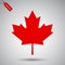 Maple leaf vector icon. Canada vector symbol maple leaf clip art