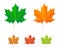 Maple leaf - vector icons