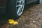 Maple leaf, wheel and tyre closeup on dirty autumn road