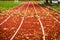 Maple leafs on athletic running track in stadium.