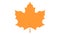 Maple leave icon vector design