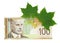 Maple leaves and canadian dollar