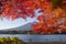 Maple leaves change to autumn color at Mt.Fuji, Japan