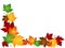 Maple leaves colorful border