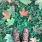 Maple leaves fallen in autumn and female legs in boots, top view