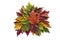 Maple Leaves Mixed Fall Colors Autumn Wreath