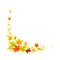 Maple Palmate Leaves of Bright Autumn Colour Arranged in Decorative Border Line Vector Illustration