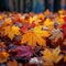 Maple in rain Vibrant autumn hues reflect on wet branches