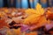 Maple in rain Vibrant autumn hues reflect on wet branches