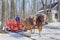 Maple Sap Buckets in Spring