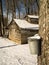 Maple Sugaring Season - Sugar House and Pails