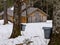 Maple Sugaring Time - Sugar House and Pails