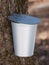 Maple syrup bucket on tree close-up