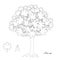 Maple tree monochrome sketch, leaves, fruits design element