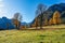 Maple trees at Ahornboden, Karwendel mountains, Tyrol, Austria