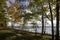 Maple trees along Lake Superior shore line in Michigan Upper Peninsula.