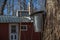 Maple Trees to collect Sap to Produce Maple Syrup with rustic Sugar Shack in Background