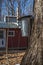 Maple Trees to collect Sap to Produce Maple Syrup with rustic Sugar Shack in Background