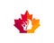 Maple woman Charity logo design. Canadian charity logo. Red Maple leaf with charity vector