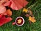 Maple yellow leaf floats in a red mug with hot tea.