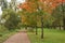 Mapple alley in town park in early autumn season