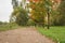 Mapple alley in town park in early autumn season