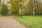 Mapple alley in town park in early autumn season