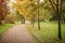 Mapple alley in town park in early autumn season